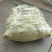 红王子锦带花苗50~80cm包指导包技术包成活