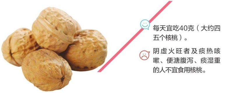 核桃苗、包活、保品质