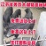 山东苏太母猪价格全国免费送货到家