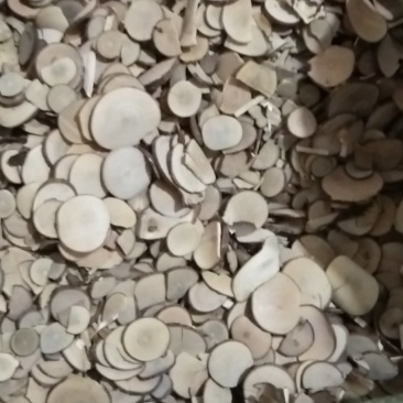 饮片乌药片圆片品质保证量大从优欢迎联系