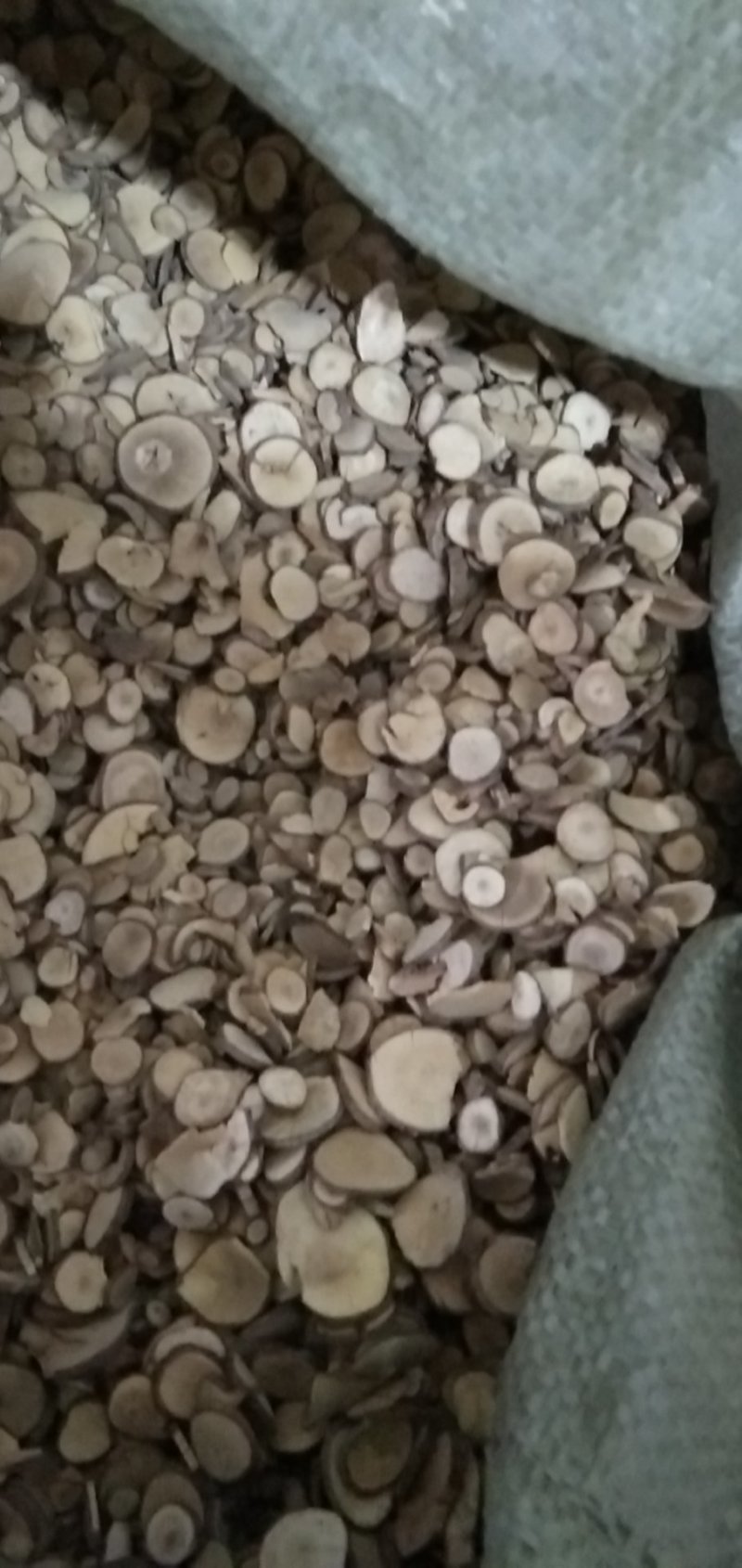 饮片乌药片圆片品质保证量大从优欢迎联系