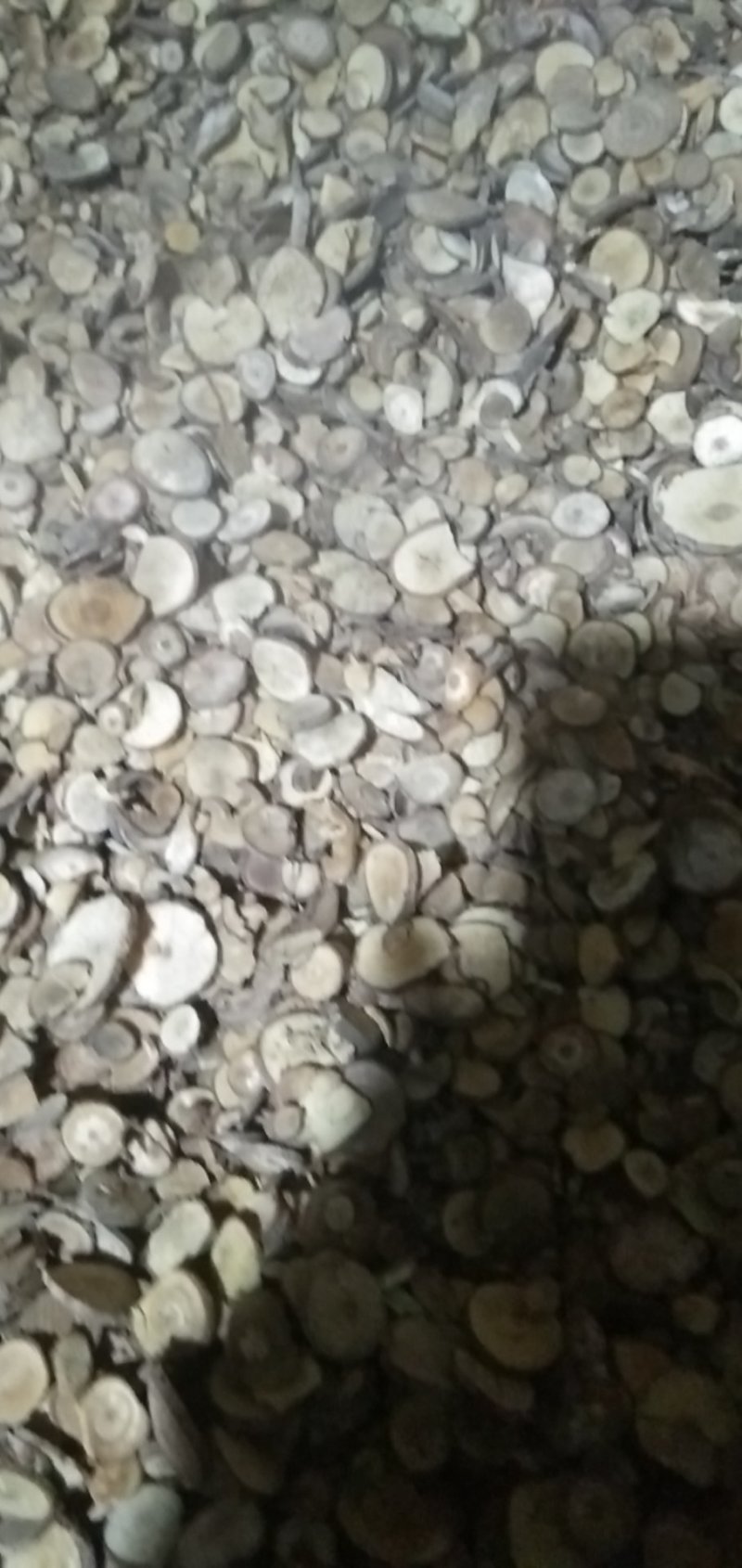 饮片乌药片圆片品质保证量大从优欢迎联系