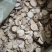 饮片乌药片圆片品质保证量大从优欢迎联系
