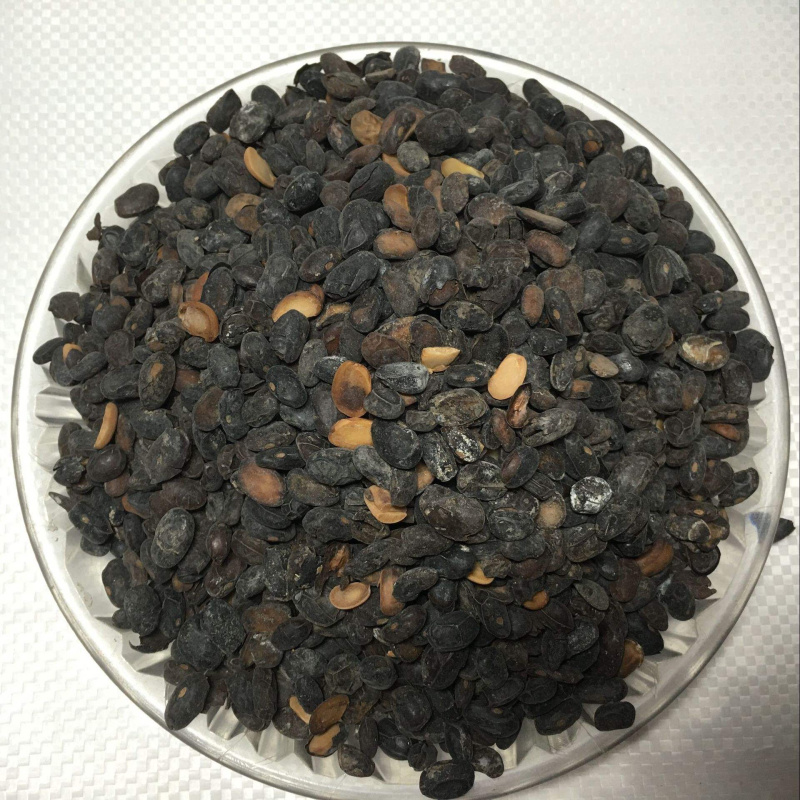 中药材无盐淡豆豉农家货11111农副土特产品