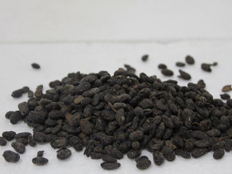 中药材无盐淡豆豉农家货11111农副土特产品