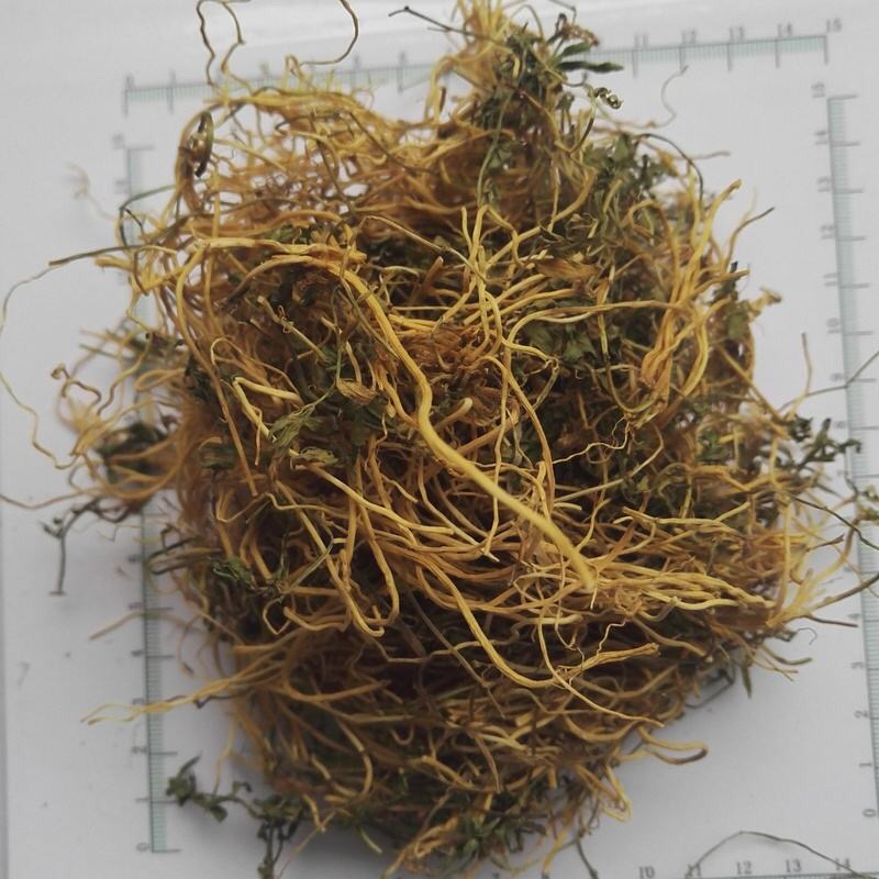 半边莲半边连半边花农家初选