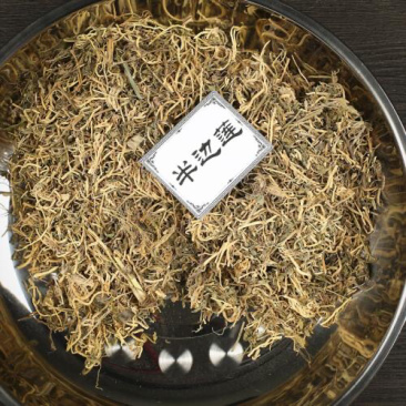 半边莲半边连半边花农家初选