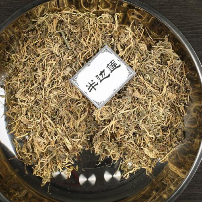 半边莲半边连半边花农家初选