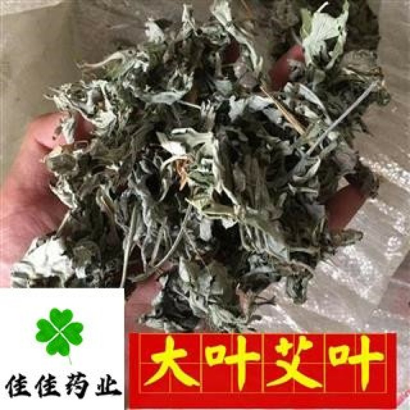佳佳药业供应艾叶大艾叶小艾叶产地直销