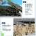 【一件代发】自主品牌海苔全新包装，一件包邮