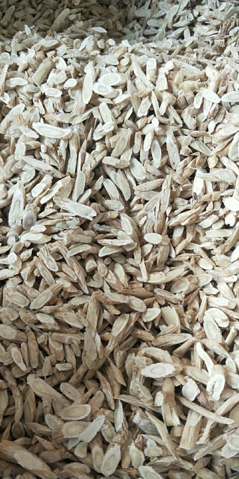 【有好货】批发零售甘肃黄芪，瓜子片，炙黄芪纯无硫
