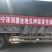 红薯苗脱毒龙薯九号大田苗龙九红薯苗大量供应中