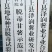 红薯苗脱毒龙薯九号大田苗龙九红薯苗大量供应中
