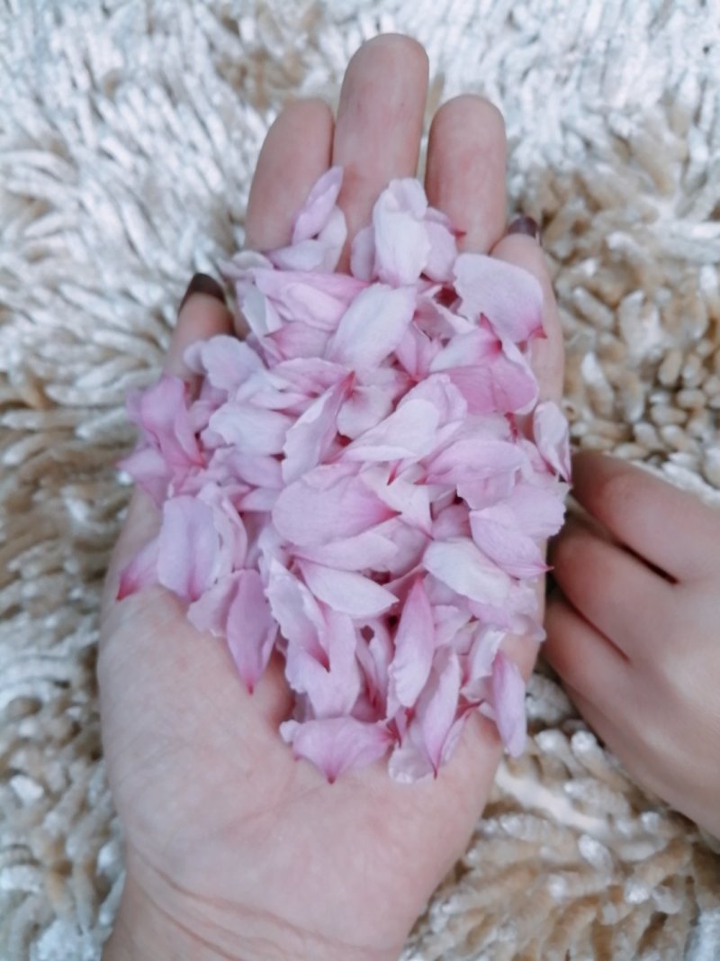 香菇菌棒出售