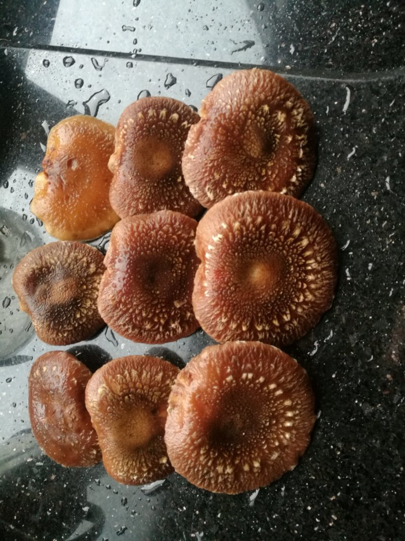 （基地直供）椴树木头香菇，品质上乘，货源充足，全国发货
