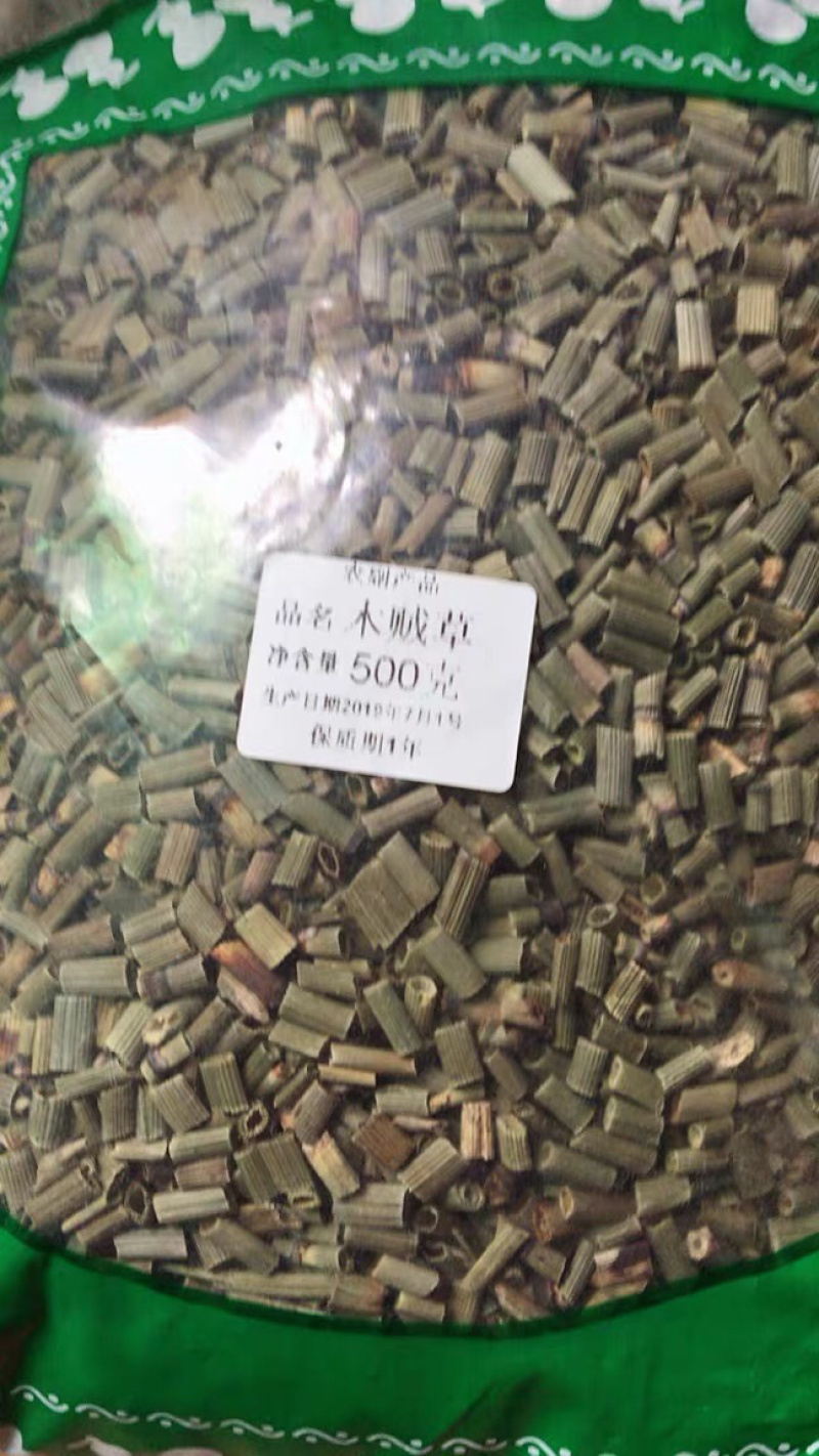 中药材节节草木贼草野生节骨草农家初选