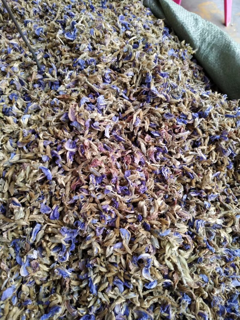 葛花有大货