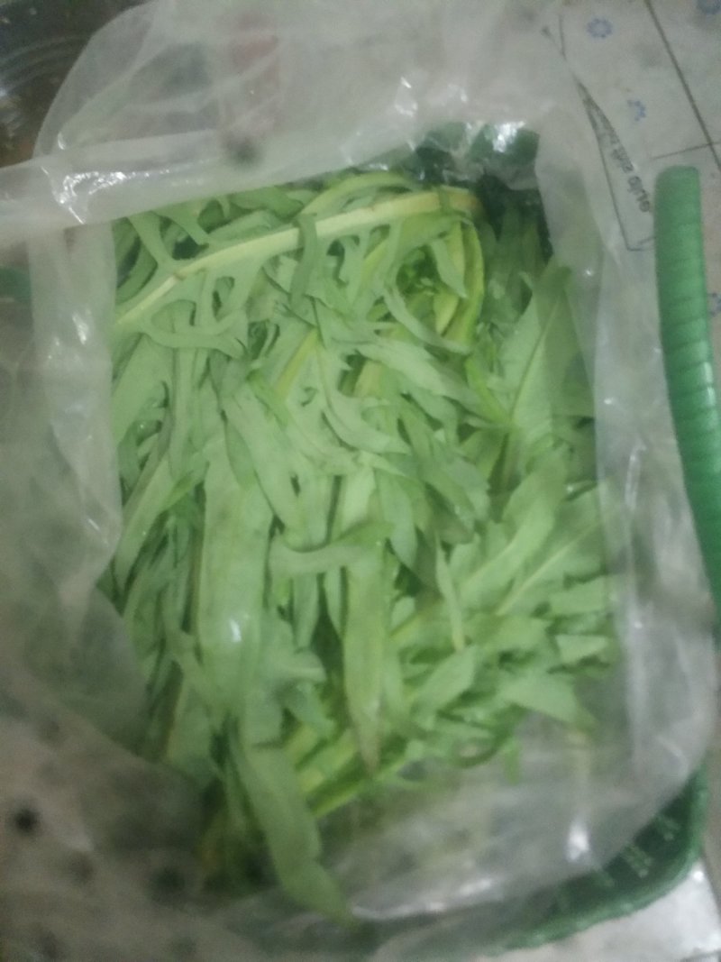 批发零售甜麦菜