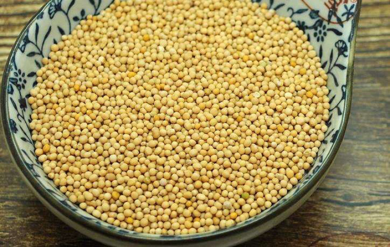 白芥子白芥籽生白芥子干货农家初选农副产品