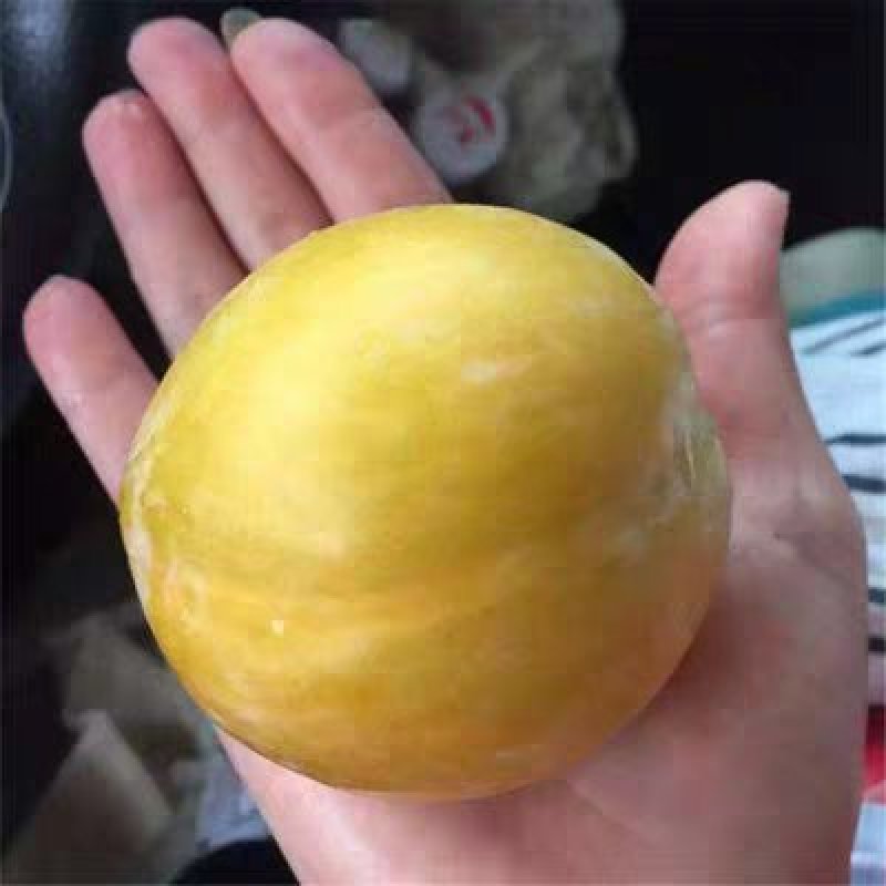 李子树苗蜂糖李子苗汁多味甜果大产量高
