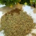 百里香，常年批发中药材百里香，麝香草量大从优