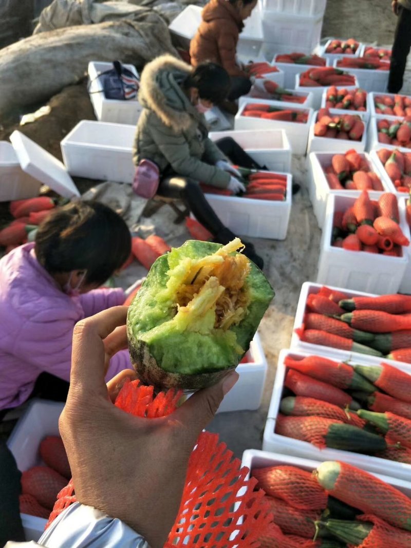 羊角蜜甜瓜山东羊角蜜甜瓜产地直发不收任何费用