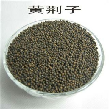 黄荆子，常年批发供应黄荆子中药材，黄金子量大从优