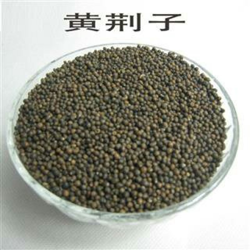 黄荆子，常年批发供应黄荆子中药材，黄金子量大从优