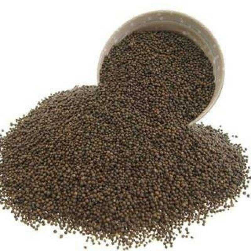 黄荆子，常年批发供应黄荆子中药材，黄金子量大从优