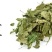 桑叶，常年批发供应药食两用中药材桑叶