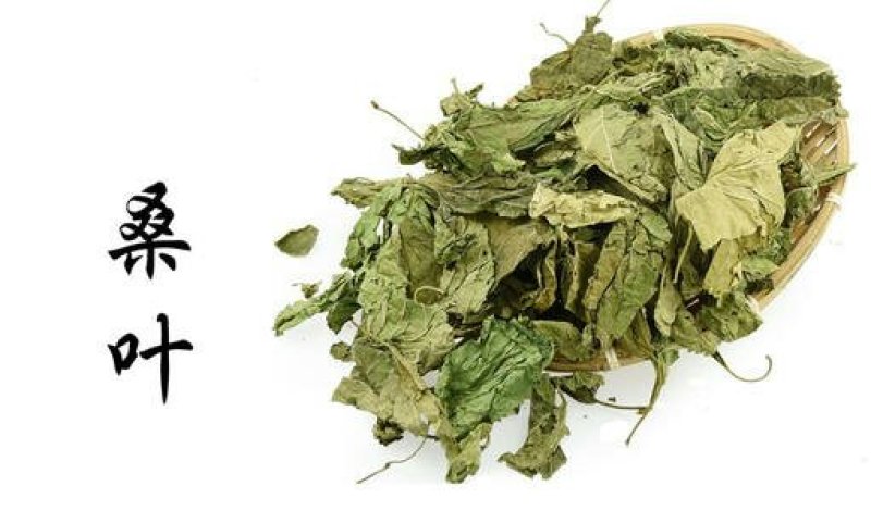 桑叶，常年批发供应药食两用中药材桑叶