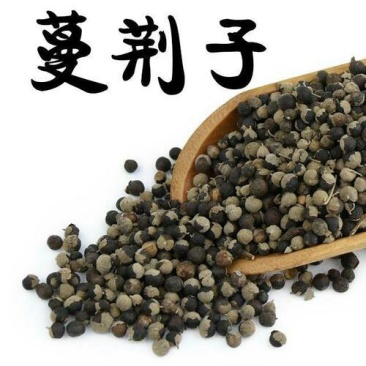 蔓荆子，常年批发供应中药材蔓荆子量大从优