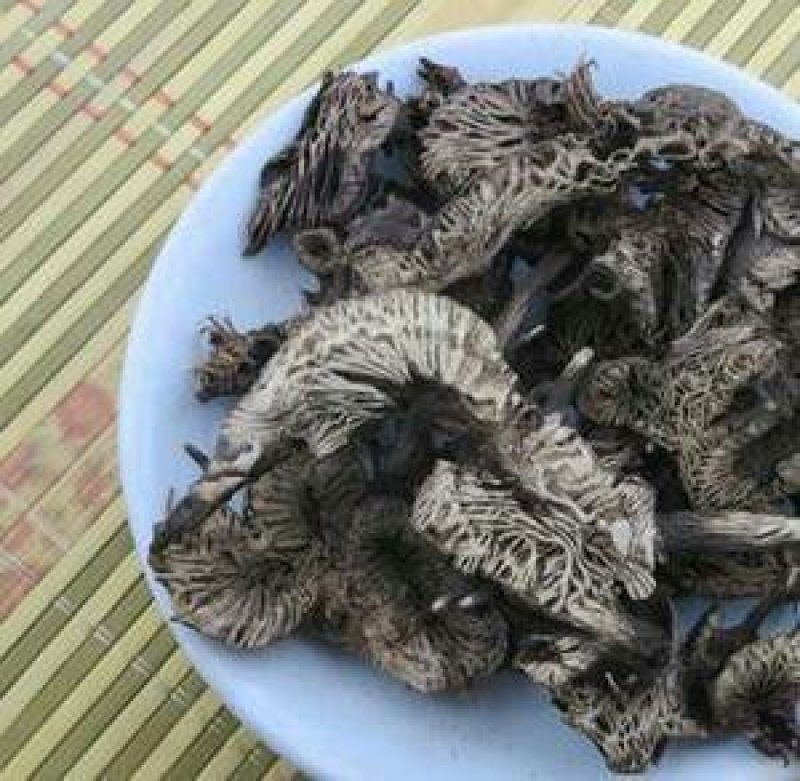 升麻，常年批发供应中药材，野生升麻各种规格产地货