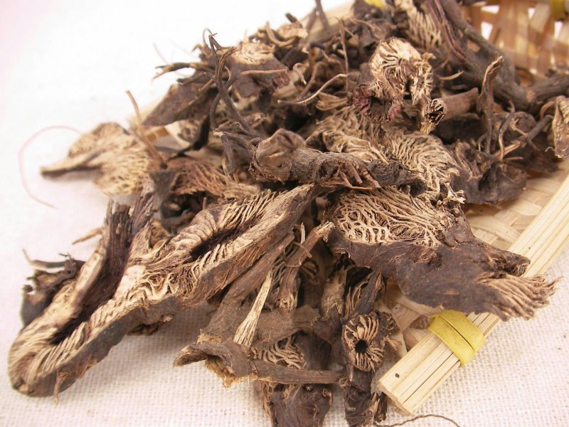 升麻，常年批发供应中药材，野生升麻各种规格产地货