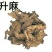 升麻，常年批发供应中药材，野生升麻各种规格产地货