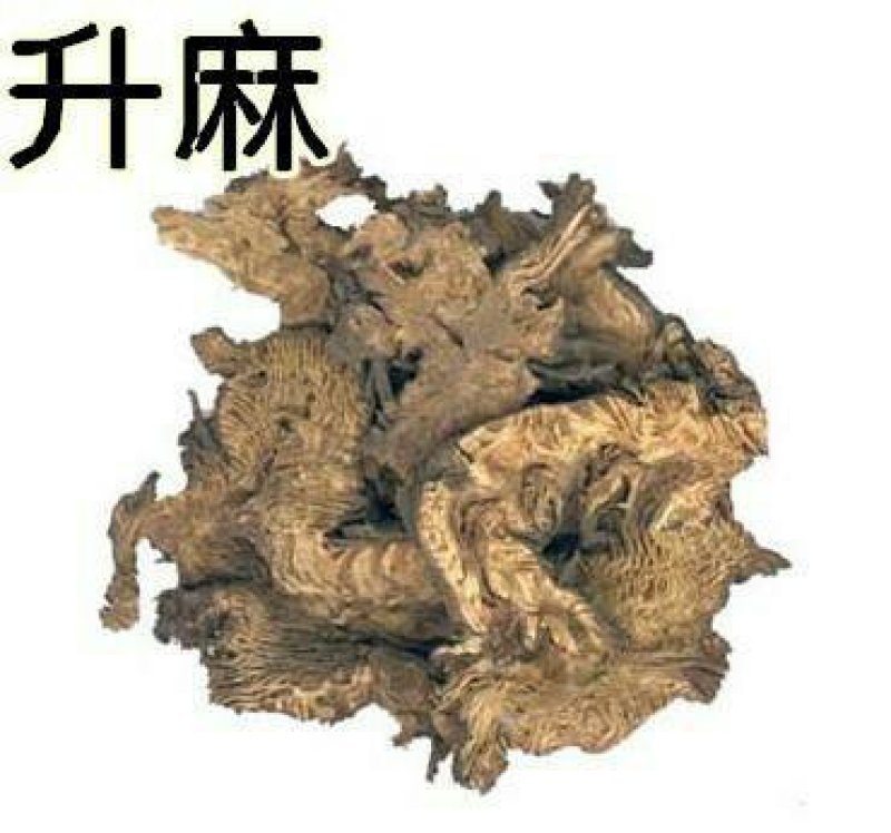 升麻，常年批发供应中药材，野生升麻各种规格产地货