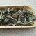 薄荷，常年批发供应薄荷量大从优家种