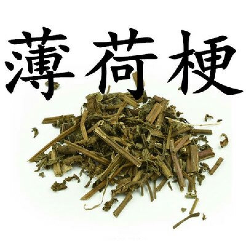 薄荷，常年批发供应薄荷量大从优家种