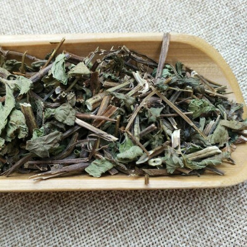 薄荷，常年批发供应薄荷量大从优家种