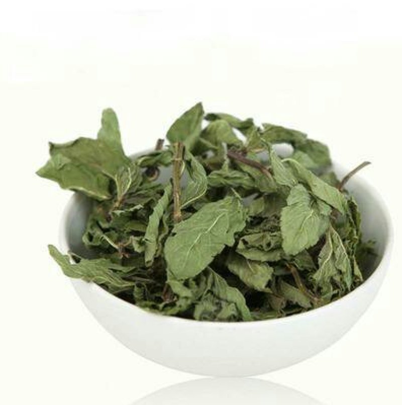 薄荷，常年批发供应薄荷量大从优家种