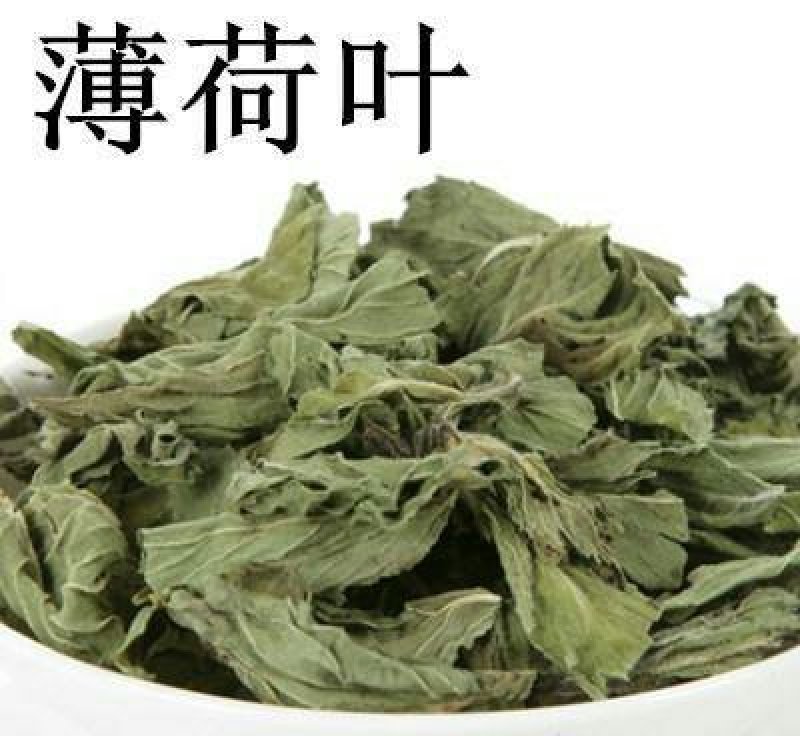 薄荷，常年批发供应薄荷量大从优家种