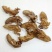 蝉蜕，常年供应中药材，野生蝉蜕各种规格