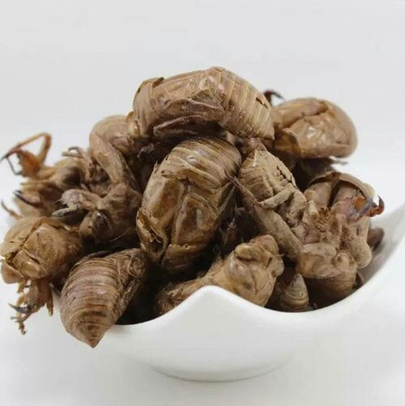 蝉蜕，常年供应中药材，野生蝉蜕各种规格