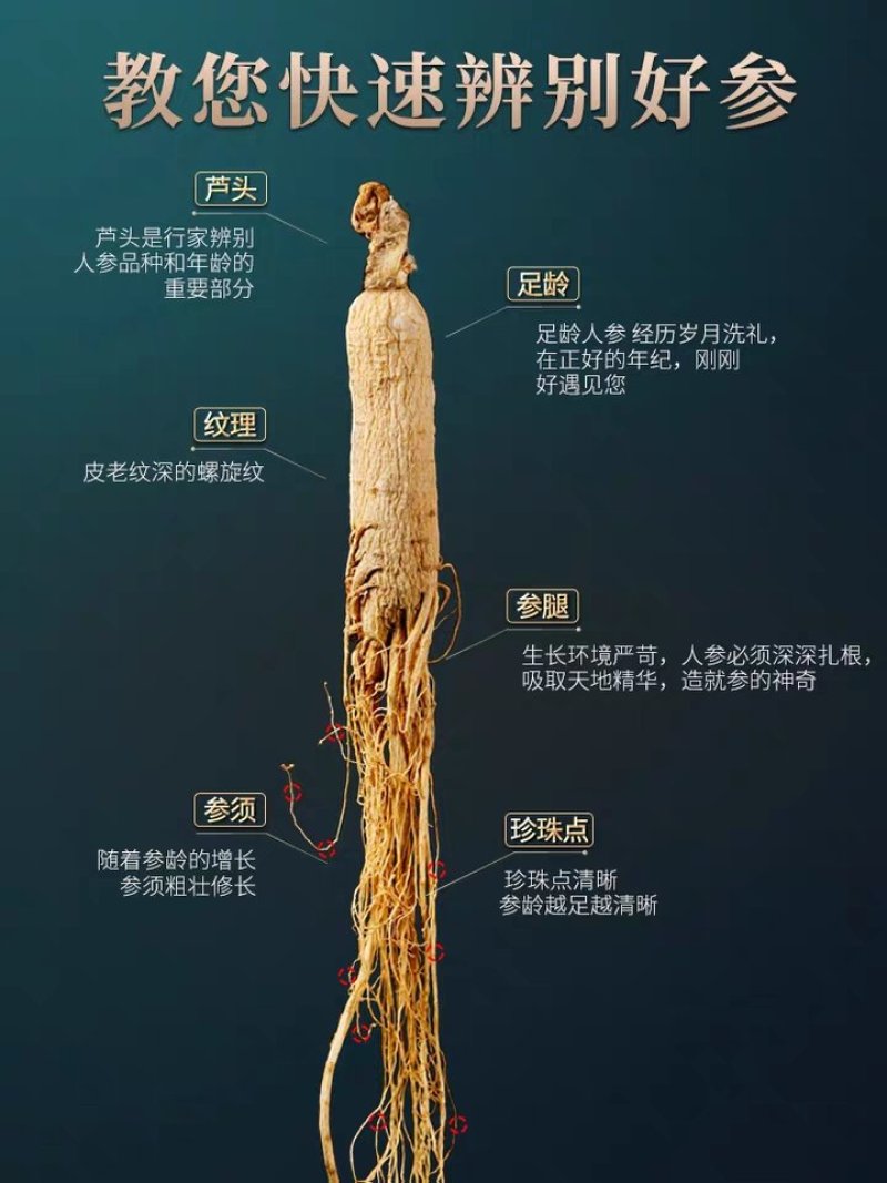 【药厂货批发】原皮生晒人参干人参4～5年保含量无硫磺包邮