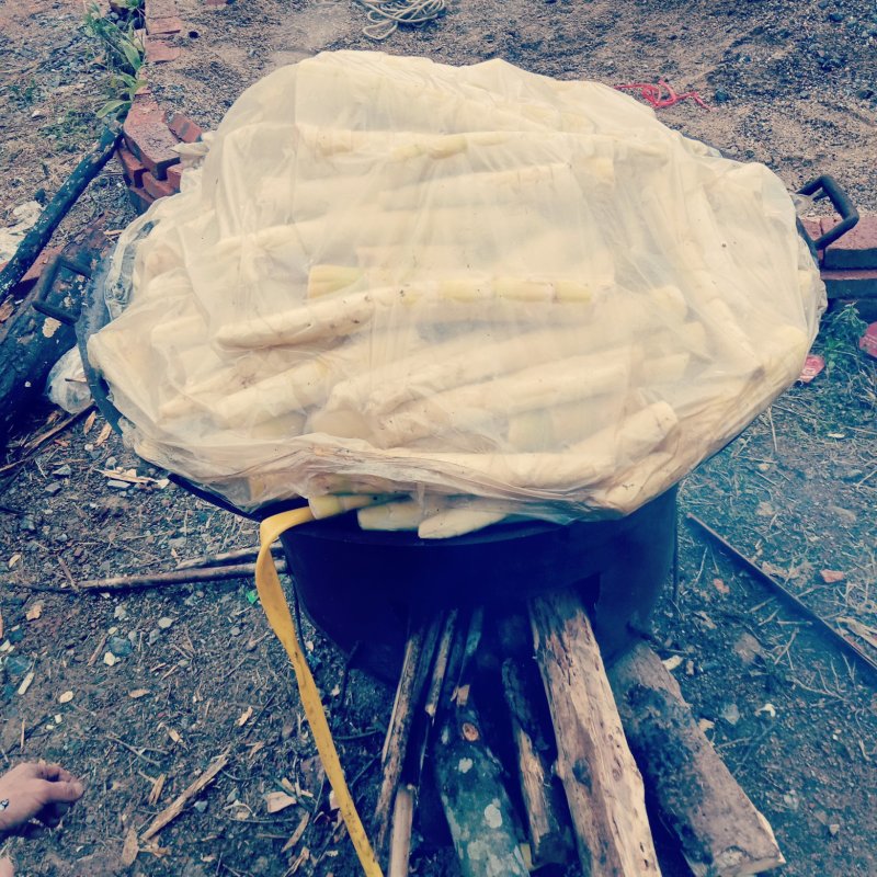 苦竹水煮笋