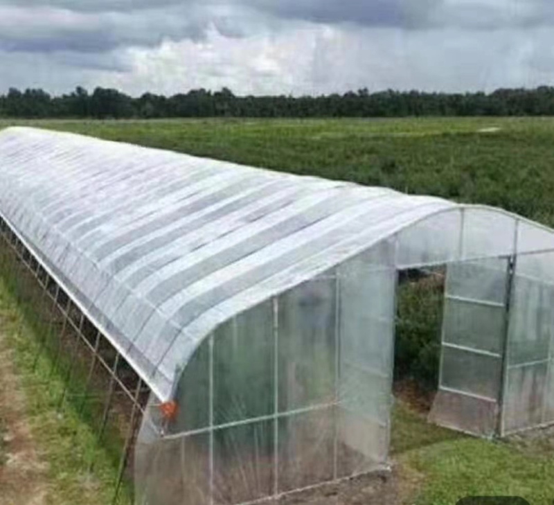 养猪大棚养鸡大棚养牛大棚椭圆管骨架质量保证