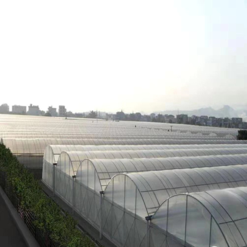 养猪大棚养鸡大棚养牛大棚椭圆管骨架质量保证