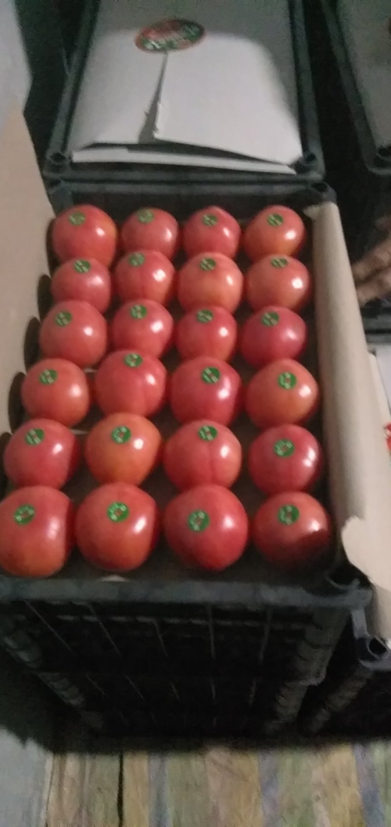精品硬粉西红柿，货源充足，产地发货，物廉价美，硬度亮度好