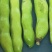 蚕豆