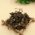 虎耳草，常年批发供应野生货